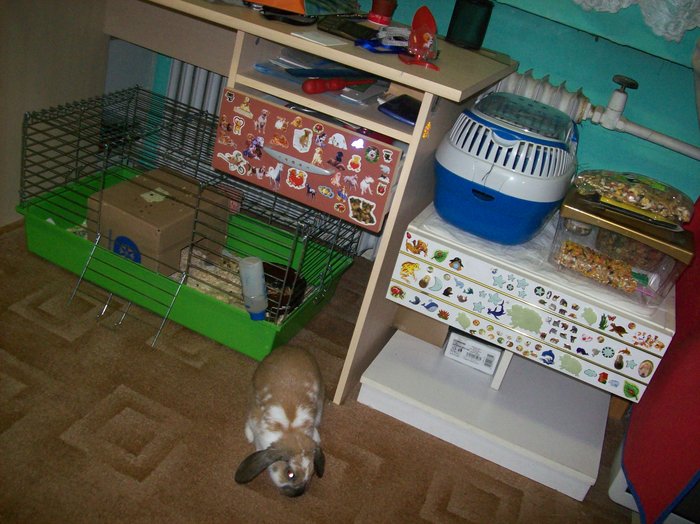 100_7896.JPG