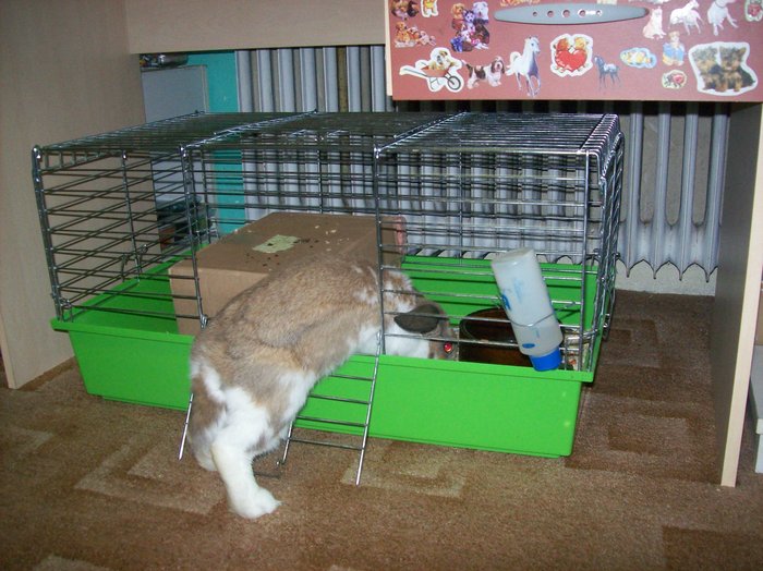 100_7902.JPG