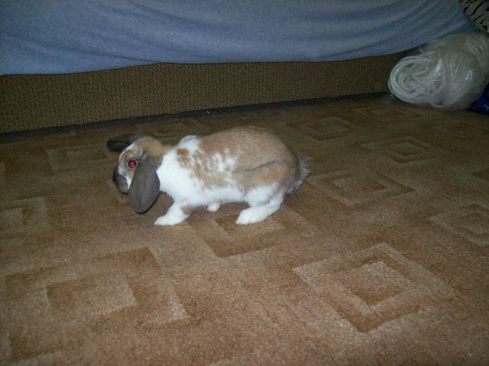 100_7907.JPG