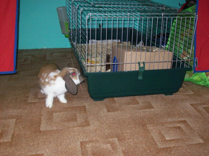 100_7880.JPG