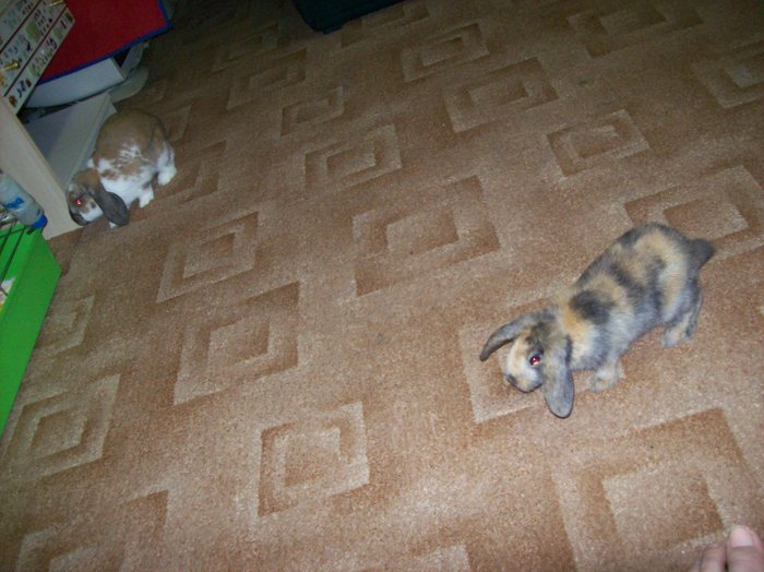 100_7925.JPG