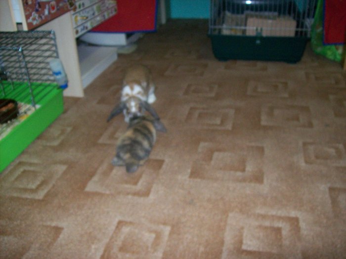 100_7944.JPG