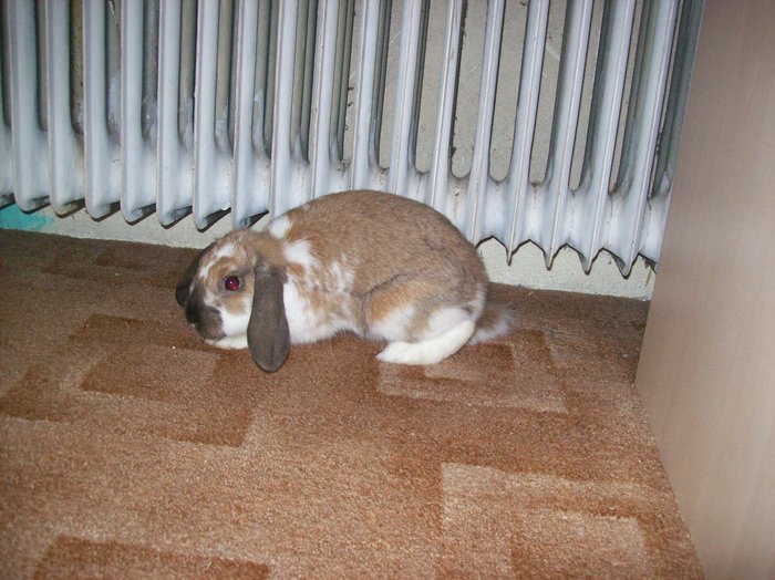100_7885.JPG