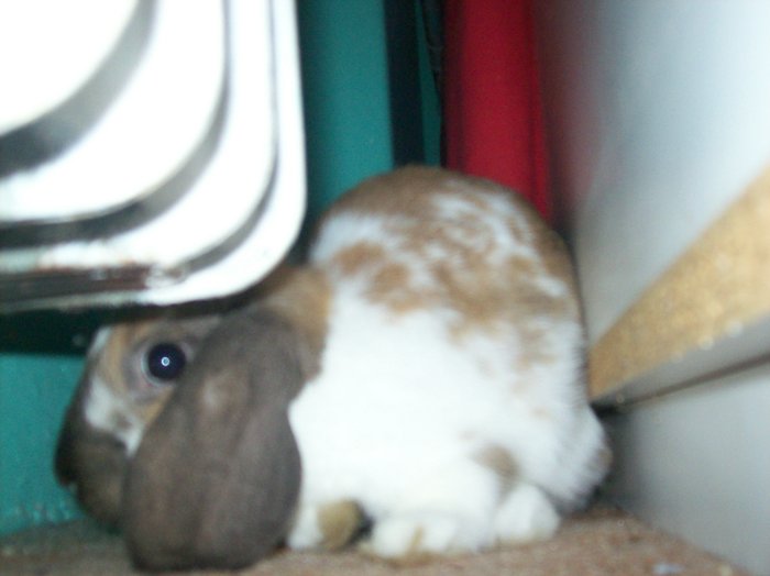 100_7889.JPG